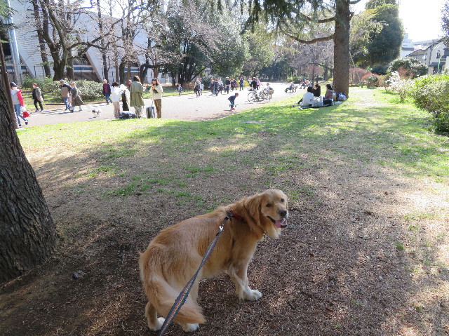 ファイル 7522-2.jpg