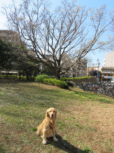 ファイル 7522-4.jpg