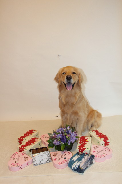 ファイル 7525-1.jpg