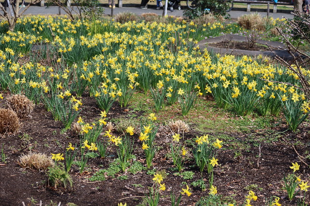 ファイル 7526-5.jpg