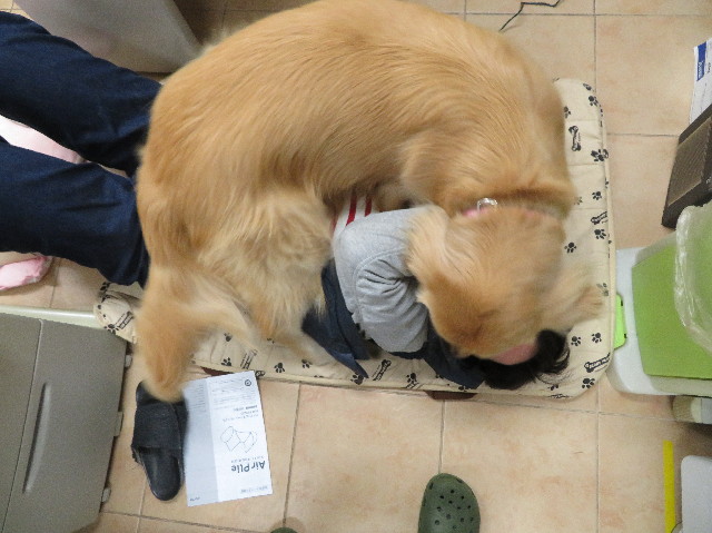 ファイル 7527-3.jpg