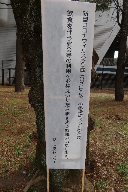 ファイル 7528-2.jpg