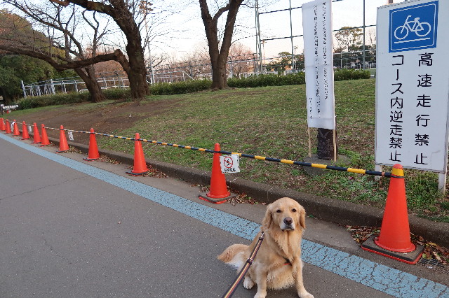 ファイル 7529-4.jpg