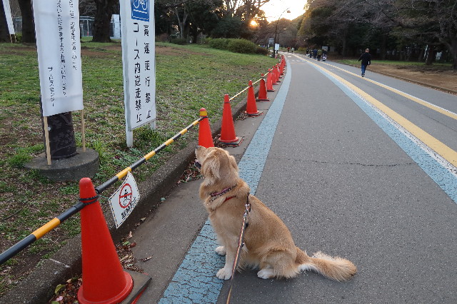 ファイル 7529-5.jpg