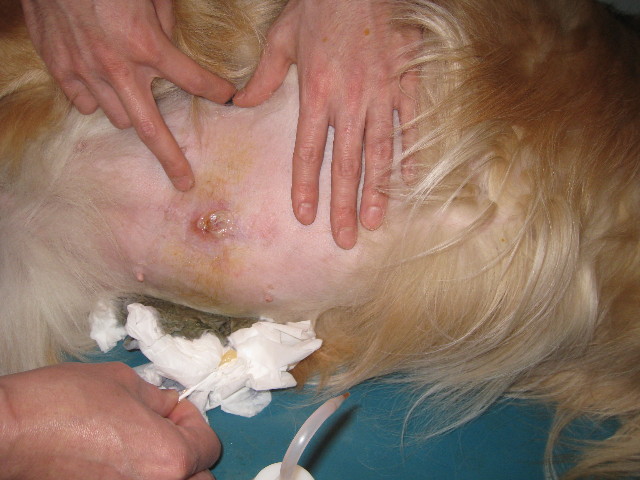 ファイル 753-3.jpg