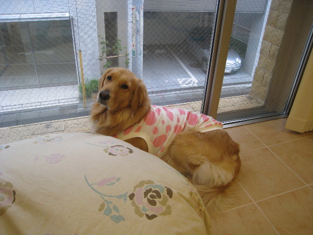 ファイル 753-5.jpg