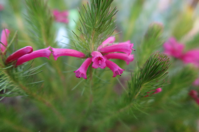 ファイル 7531-3.jpg