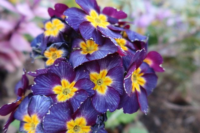 ファイル 7532-3.jpg