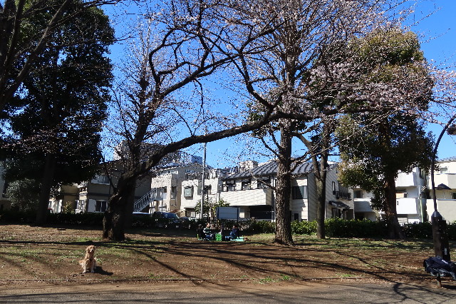 ファイル 7535-1.jpg