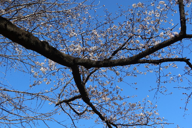 ファイル 7535-2.jpg