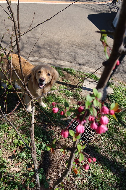 ファイル 7535-3.jpg