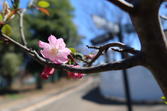 ファイル 7535-4.jpg