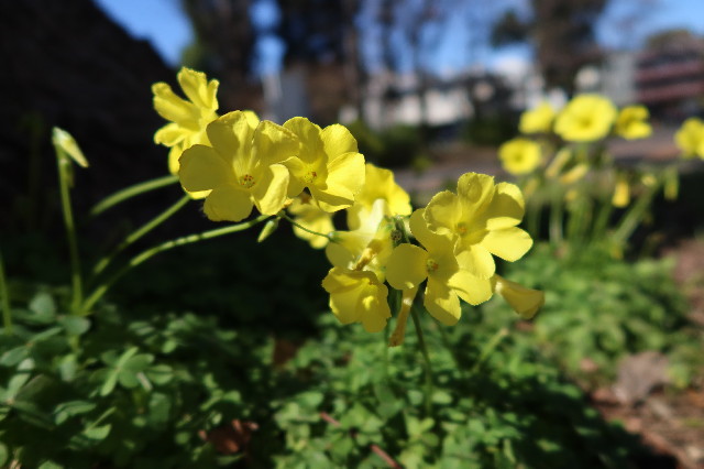 ファイル 7535-5.jpg