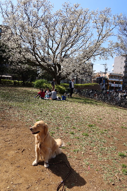 ファイル 7536-2.jpg