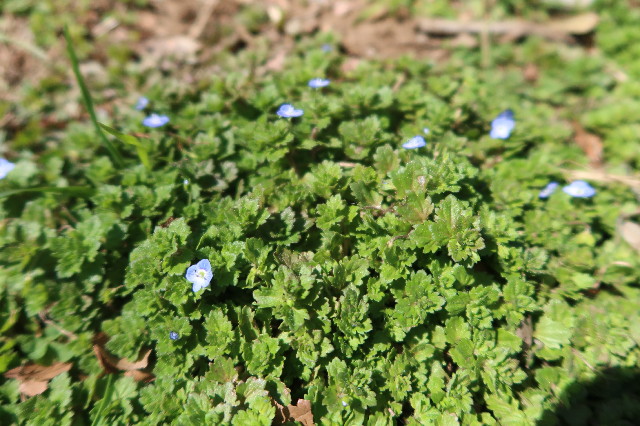 ファイル 7538-4.jpg