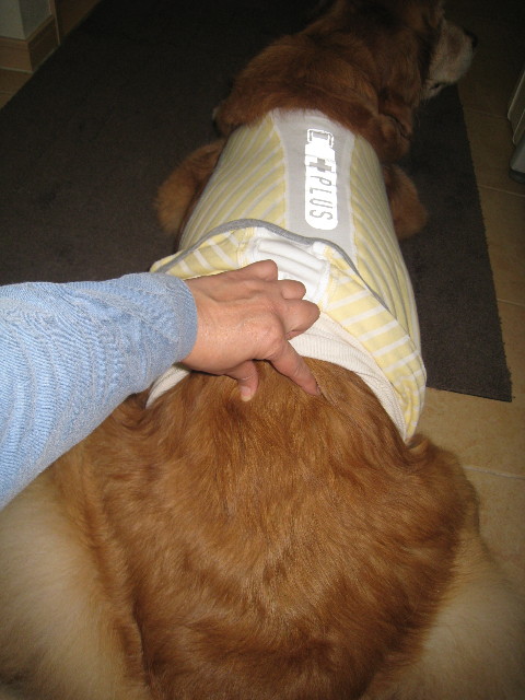 ファイル 754-1.jpg