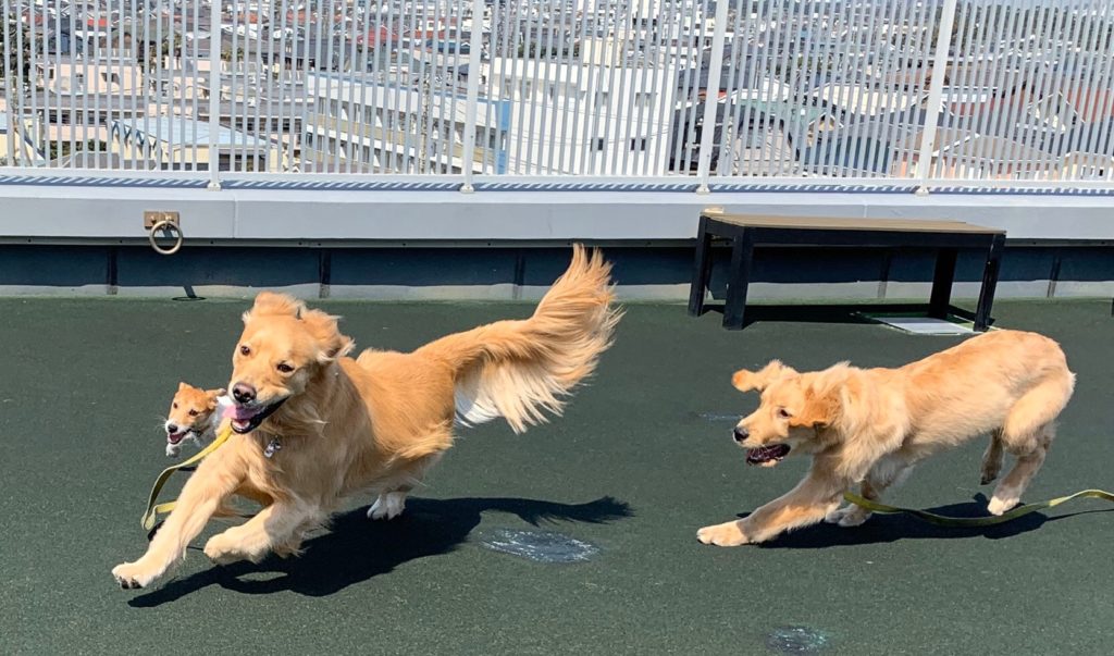 ファイル 7540-1.jpeg