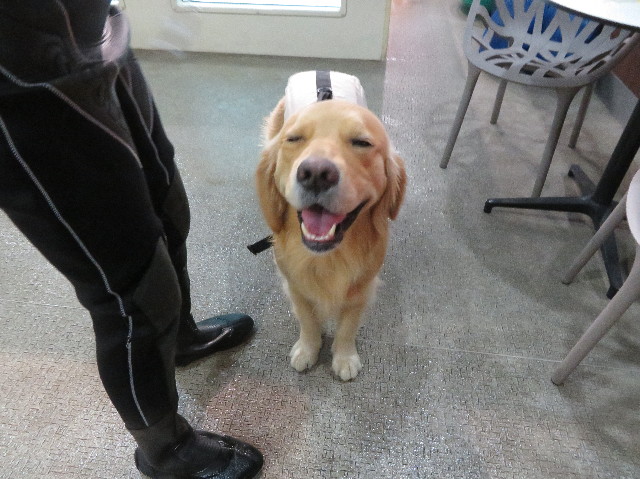 ファイル 7541-1.jpg