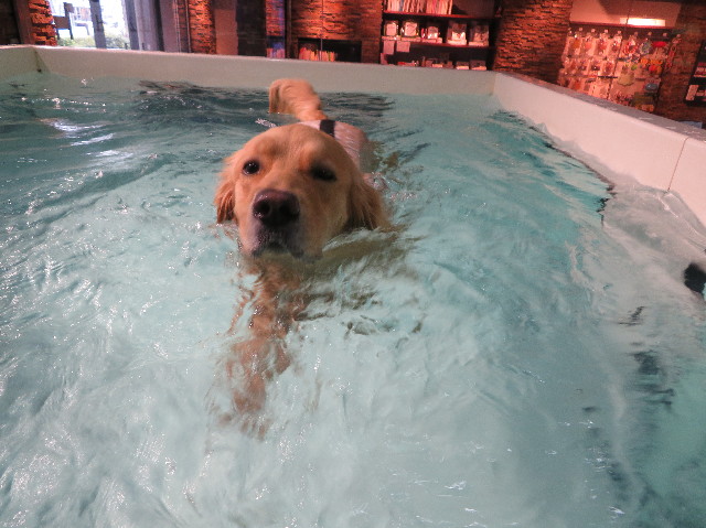 ファイル 7541-2.jpg