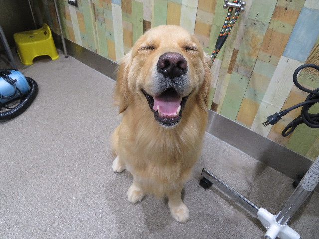 ファイル 7541-4.jpg