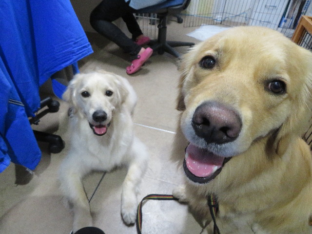 ファイル 7541-5.jpg