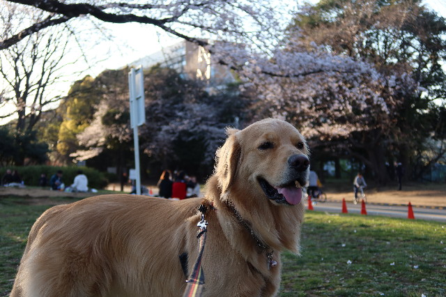 ファイル 7544-3.jpg