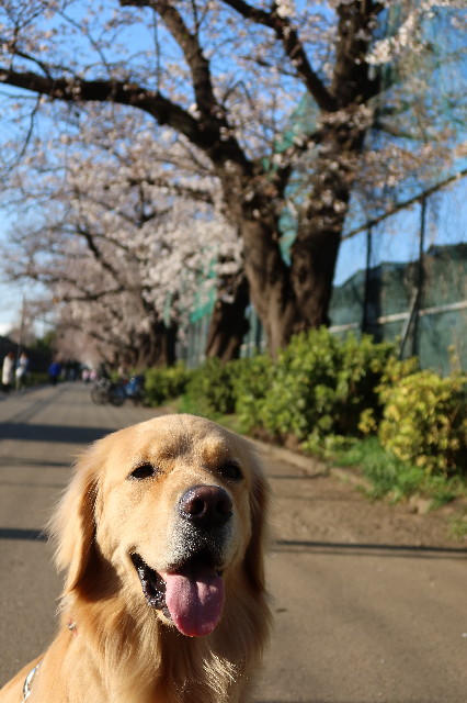 ファイル 7545-5.jpg