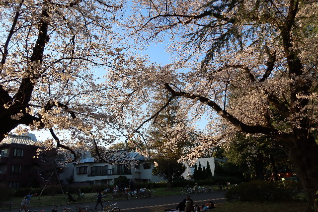 ファイル 7546-3.jpg