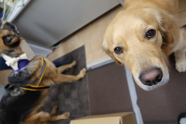 ファイル 7548-2.jpg