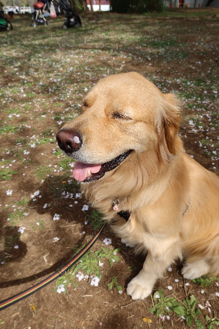 ファイル 7549-2.jpg