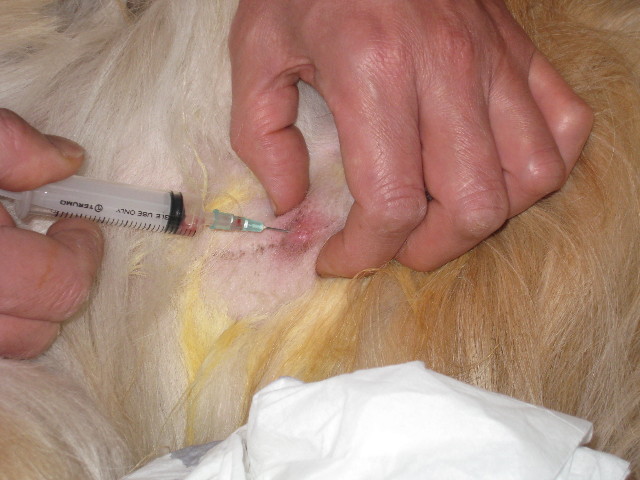 ファイル 755-1.jpg