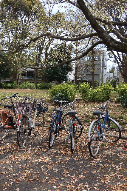 ファイル 7550-4.jpg