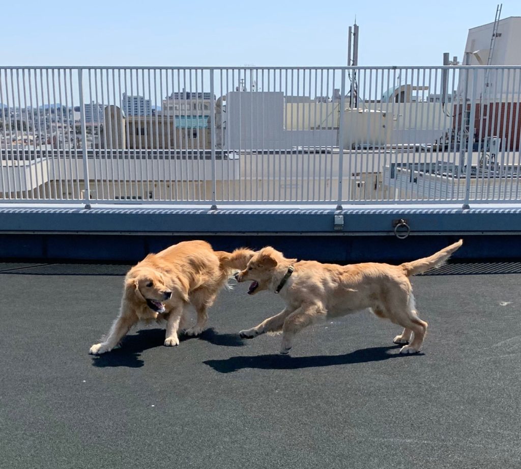 ファイル 7551-4.jpeg