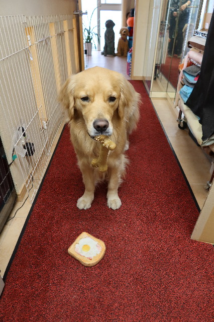 ファイル 7552-5.jpg