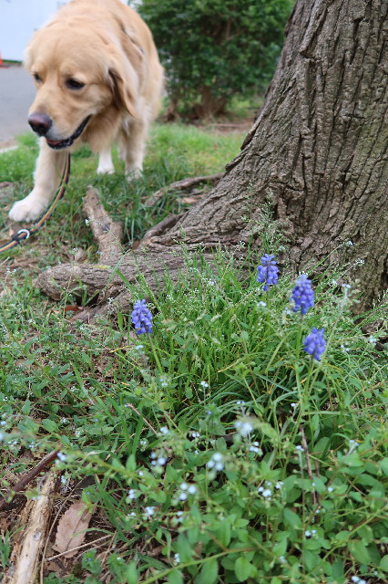 ファイル 7553-5.jpg