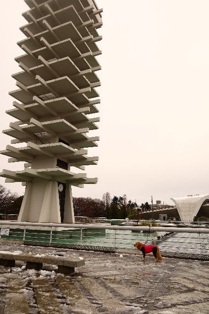 ファイル 7556-4.jpg