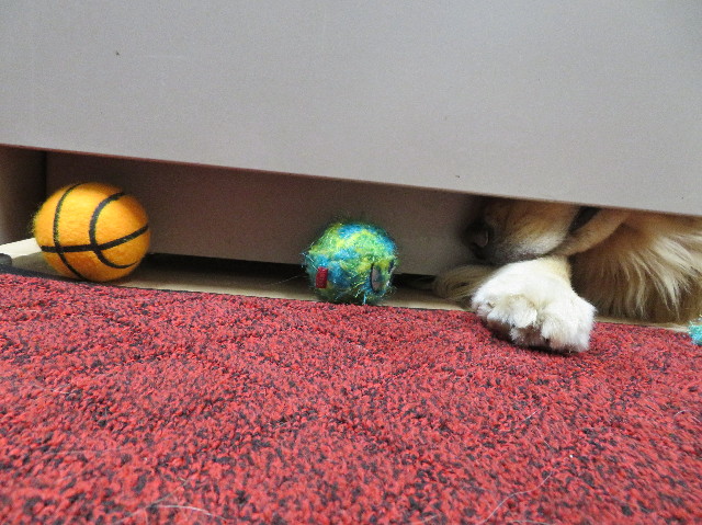 ファイル 7557-3.jpg