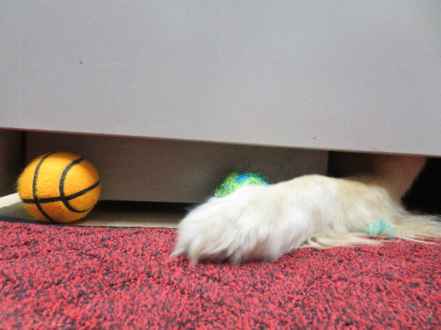 ファイル 7557-4.jpg