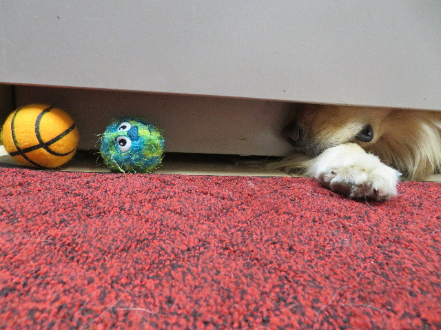 ファイル 7557-5.jpg