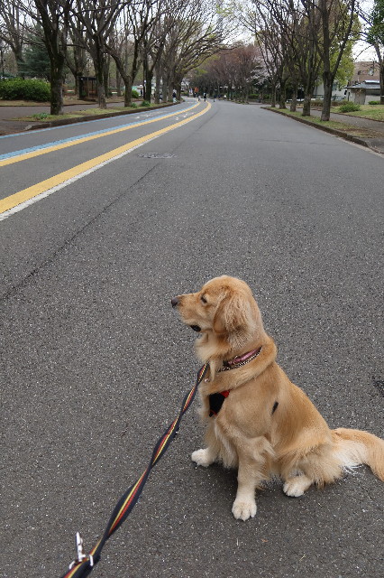 ファイル 7558-4.jpg