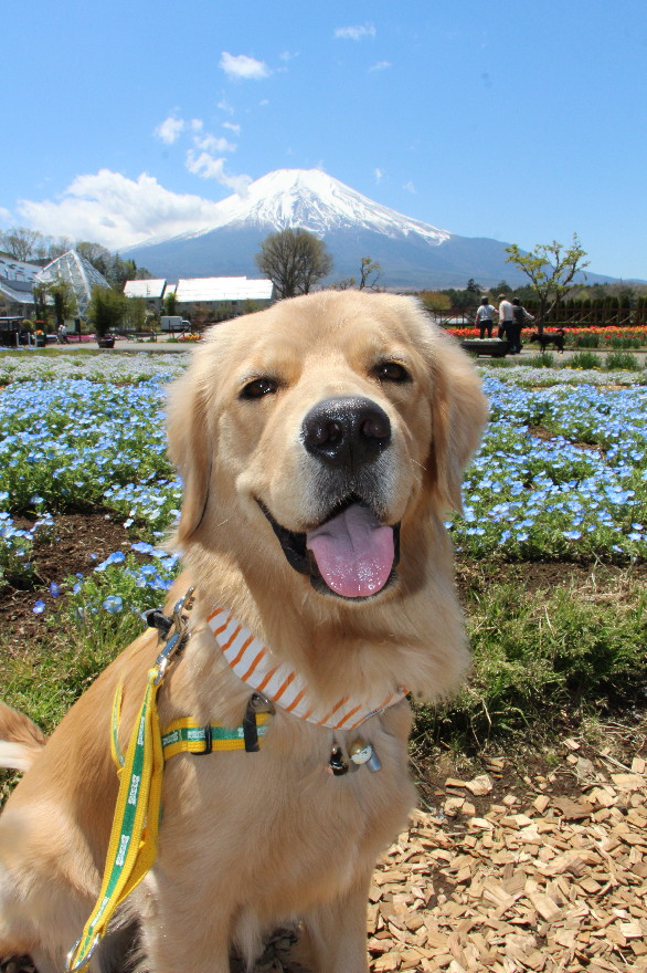 ファイル 7562-4.jpg