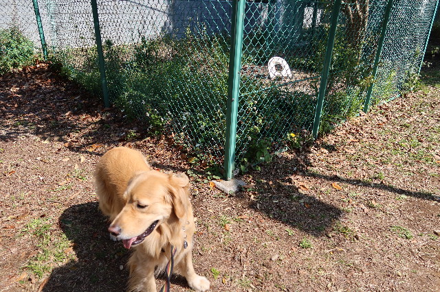 ファイル 7563-5.jpg