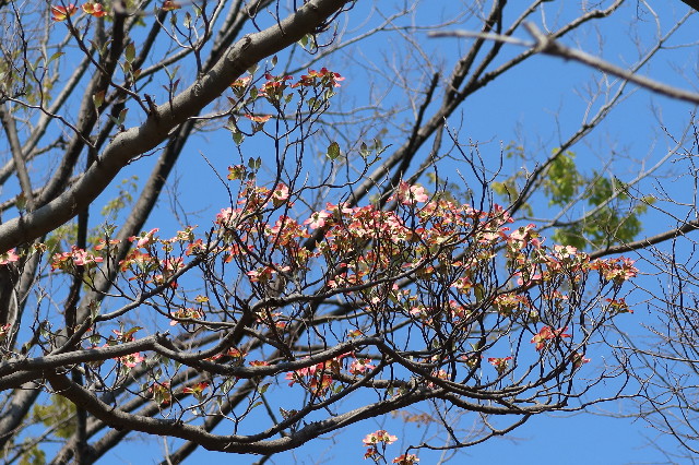 ファイル 7564-2.jpg