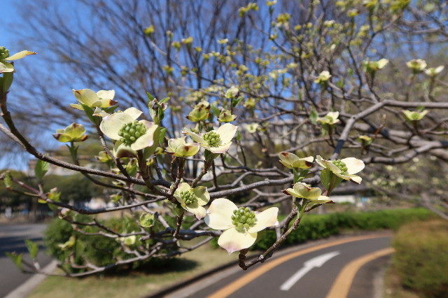 ファイル 7564-3.jpg