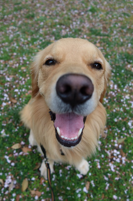 ファイル 7566-4.jpg