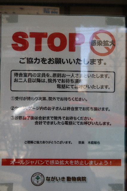 ファイル 7567-1.jpg