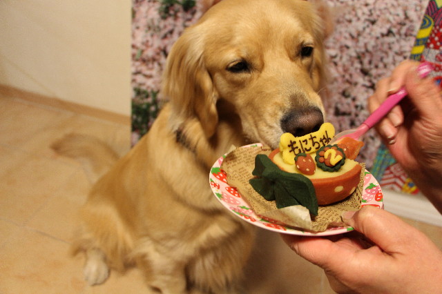 ファイル 7567-5.jpg