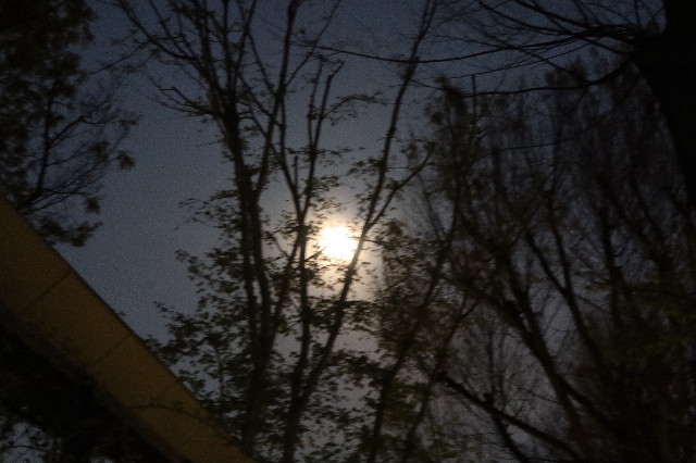 ファイル 7568-5.jpg