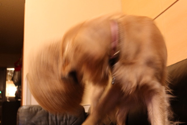 ファイル 7569-1.jpg