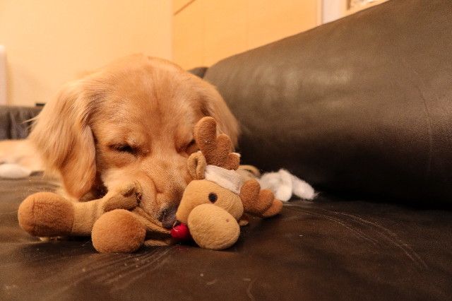 ファイル 7569-2.jpg